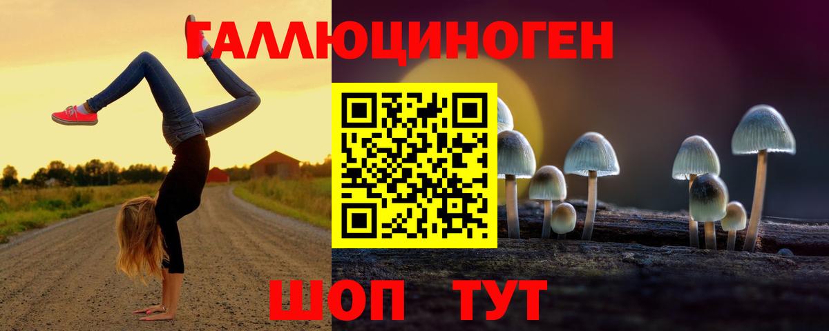 МЕФ Рязань